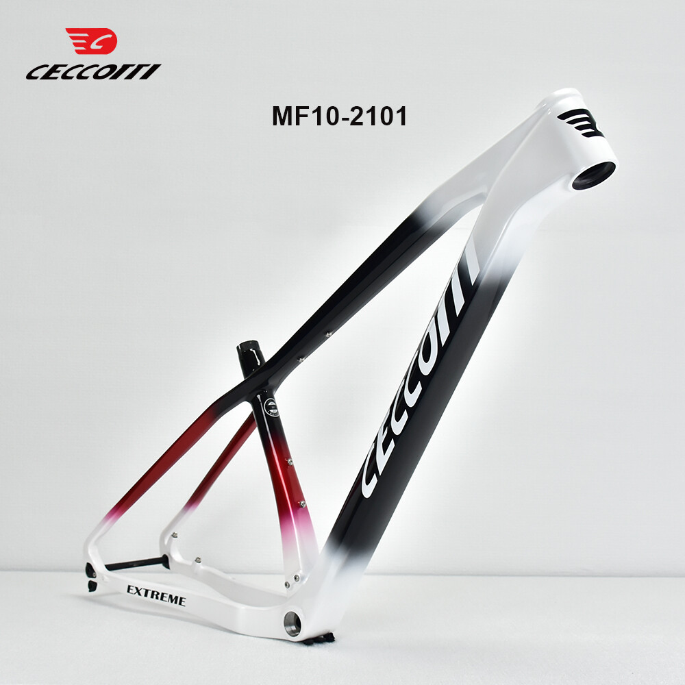 CECCOTTI 29er MTB Frame BSA 14 - Mountain Biking Uk recensie en prijs