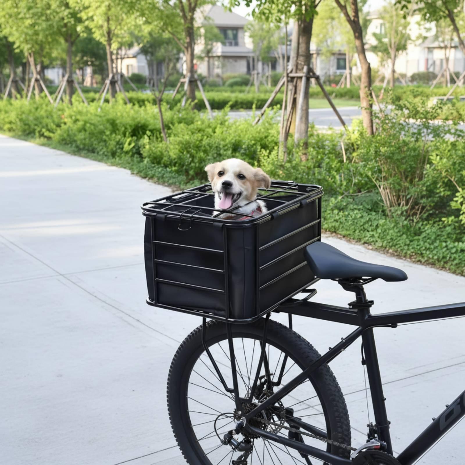 Fietsmand met hondenriem, acht - Mountain Biking With Dog recensie en prijs
